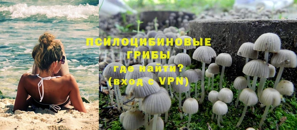 мдпв Краснотурьинск