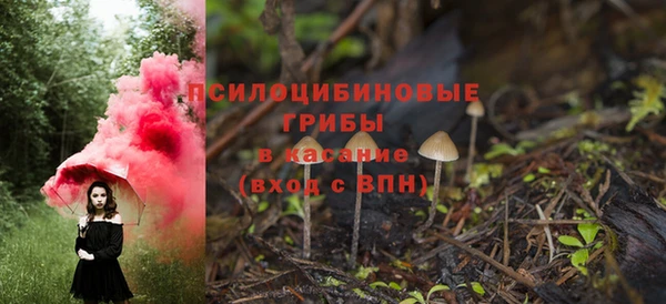 герыч Краснослободск