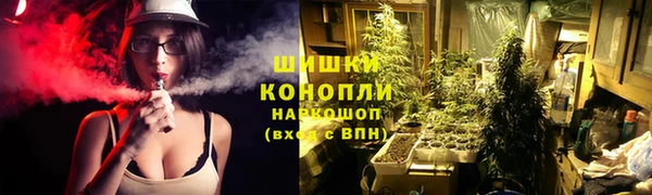 мдпв Краснотурьинск