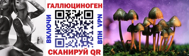 Купить где  Солигалич  Псилоцибиновые грибы мухоморы 